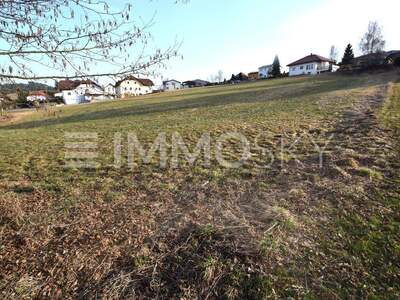 Grundstück kaufen in 4204 Reichenau (Bild 4)