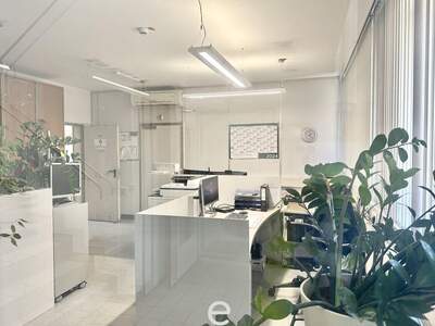 Gewerbeobjekt mieten in 1230 Wien (Bild 4)