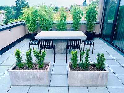 Eigentumswohnung in 4020 Linz (Bild 2)