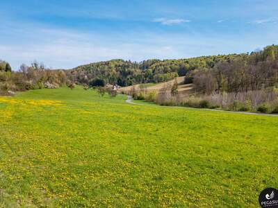 Gewerbeobjekt kaufen in 8333 Riegersburg (Bild 4)