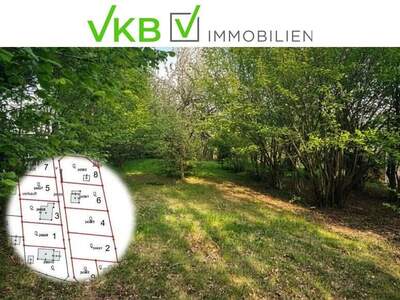 Grundstück kaufen in 4211 Alberndorf