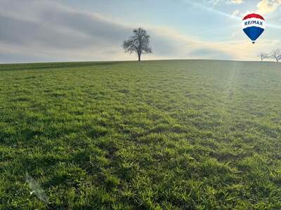 Grundstück kaufen in 4074 Stroheim