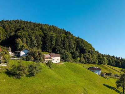 Grundstück kaufen in 6835 Zwischenwasser (Bild 1)