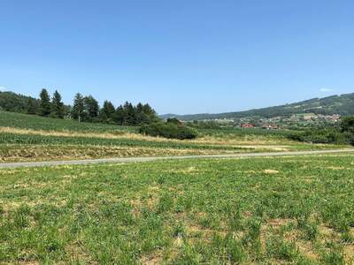 Grundstück kaufen in 8453 Sankt Johann (Bild 4)