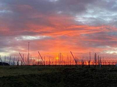 Grundstück kaufen in 8380 Jennersdorf (Bild 1)