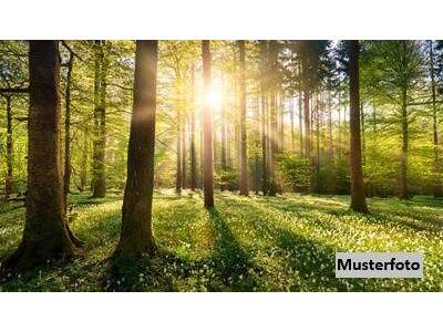 Grundstück kaufen in 9473 Lavamünd