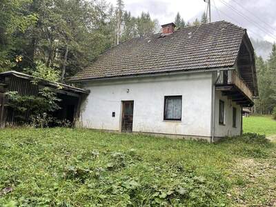 Gewerbeobjekt kaufen in 9135 Ebriach (Bild 3)