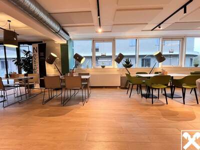 Gewerbeobjekt mieten in 4780 Schärding (Bild 4)