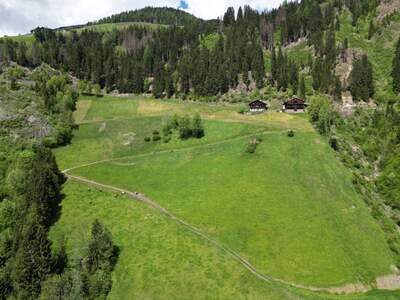 Gewerbeobjekt kaufen in 9911 Assling (Bild 3)