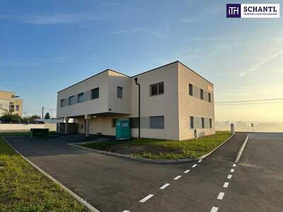 Büro / Praxis kaufen in 8401 Kalsdorf (Bild 4)