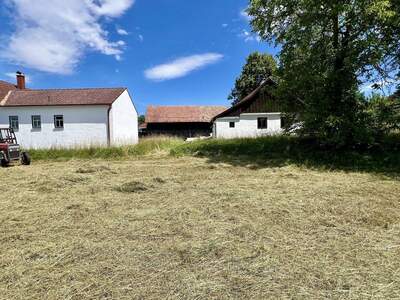 Haus kaufen in 3753 Harth