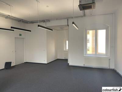 Gewerbeobjekt mieten in 1100 Wien (Bild 4)