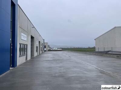 Gewerbeobjekt mieten in 2482 Münchendorf (Bild 5)