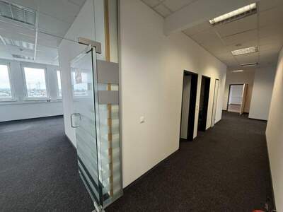 Büro / Praxis mieten in 2351 Wr. Neudorf (Bild 5)