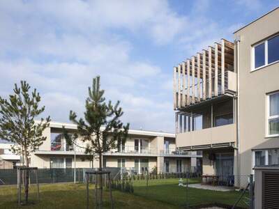 Terrassenwohnung mieten in 2231 Strasshof (Bild 1)