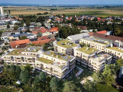 Anlageobjekt kaufen in 3441 Judenau