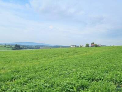 Gewerbeobjekt mieten in 4870 Vöcklamarkt (Bild 3)