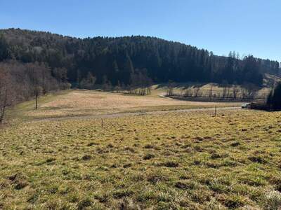 Grundstück kaufen in 8302 Edelsgrub