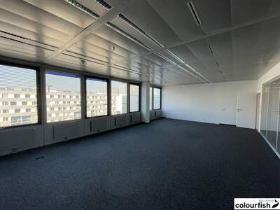 Gewerbeobjekt mieten in 1220 Wien (Bild 3)