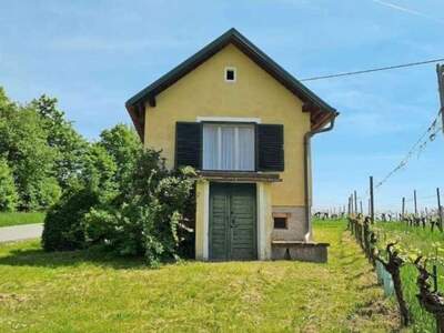 Immobilie kaufen in 7474 Eisenberg (Bild 1)