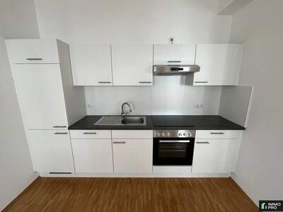 Apartment provisionsfrei mieten in 9300 Kärnten