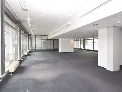 Büro / Praxis mieten in 2345 Brunn (Bild 3)