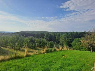 Grundstück kaufen in 8271 Bad Waltersdorf