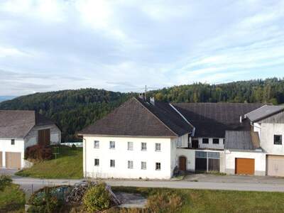 Haus kaufen in 4122 Arnreit