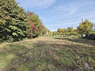 Grundstück kaufen in 1210 Wien