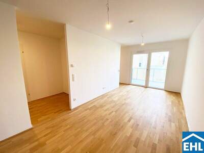 Terrassenwohnung mieten in 1110 Wien (Bild 2)