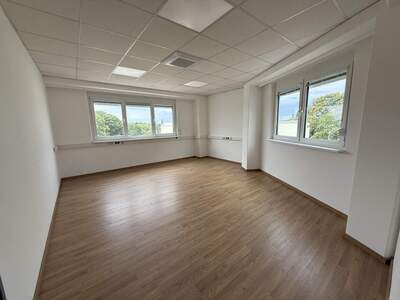 Büro / Praxis mieten in 2544 Leobersdorf (Bild 5)