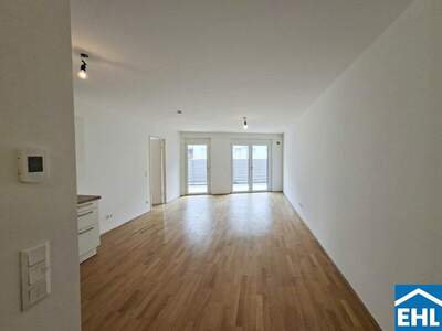 Terrassenwohnung mieten in 1210 Wien (Bild 3)