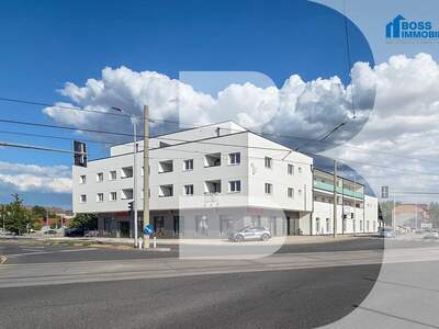 Wohnung kaufen in 4050 Traun