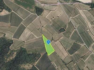 Gewerbeobjekt kaufen in 3550 Langenlois