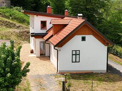 Haus kaufen in 7442 Hammerteich