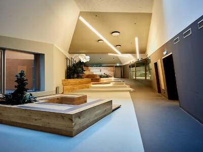 Gewerbeobjekt mieten in 1100 Wien (Bild 2)