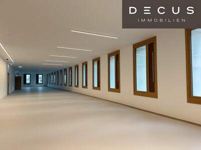 Büro / Praxis mieten in 1220 Wien (Bild 5)