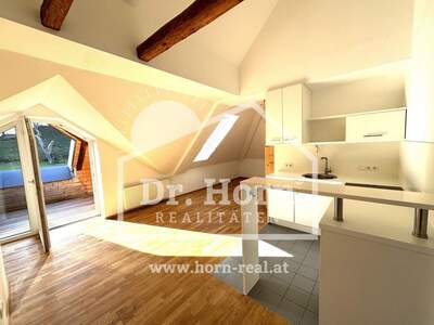 Apartment provisionsfrei mieten in 8044 Steiermark