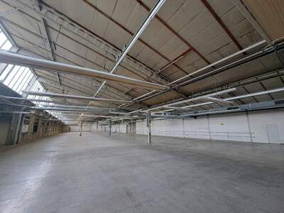 Gewerbeobjekt mieten in 2512 Tribuswinkel