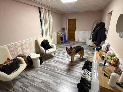 Wohnung provisionsfrei mieten in 1100 Wien