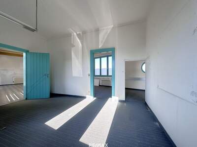 Gewerbeobjekt kaufen in 9422 St. Andrä (Bild 4)