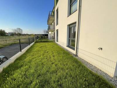 Wohnung kaufen in 3133 Traismauer