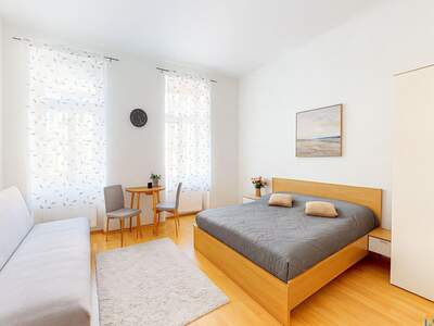 Altbauwohnung kaufen in 1180 Wien (Bild 1)
