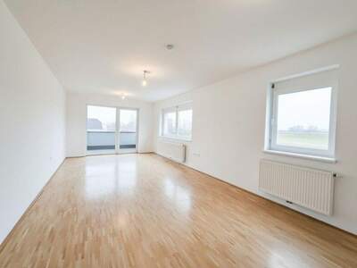 Terrassenwohnung mieten in 3321 Ardagger (Bild 1)