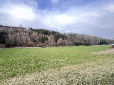 Land- und Forstwirtschaft kaufen in 4782 Sankt Florian