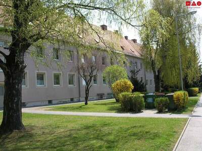 Wohnung mieten in 8580 Köflach