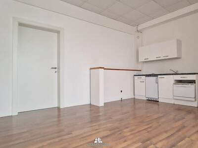 Gewerbeobjekt mieten in 4690 Schwanenstadt (Bild 3)