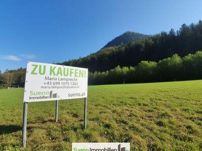 Grundstück kaufen in 4645 Grünau (Bild 1)