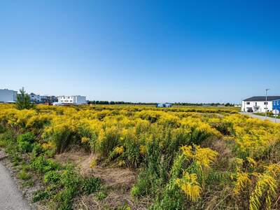 Grundstück kaufen in 2201 Gerasdorf