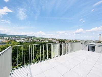 Wohnung kaufen in 1190 Wien